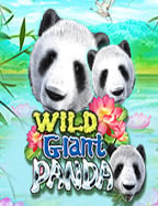 โปร โม ชั่ น slotxo เกมที่ไม่ควรพลาดสำหรับนักปั่น